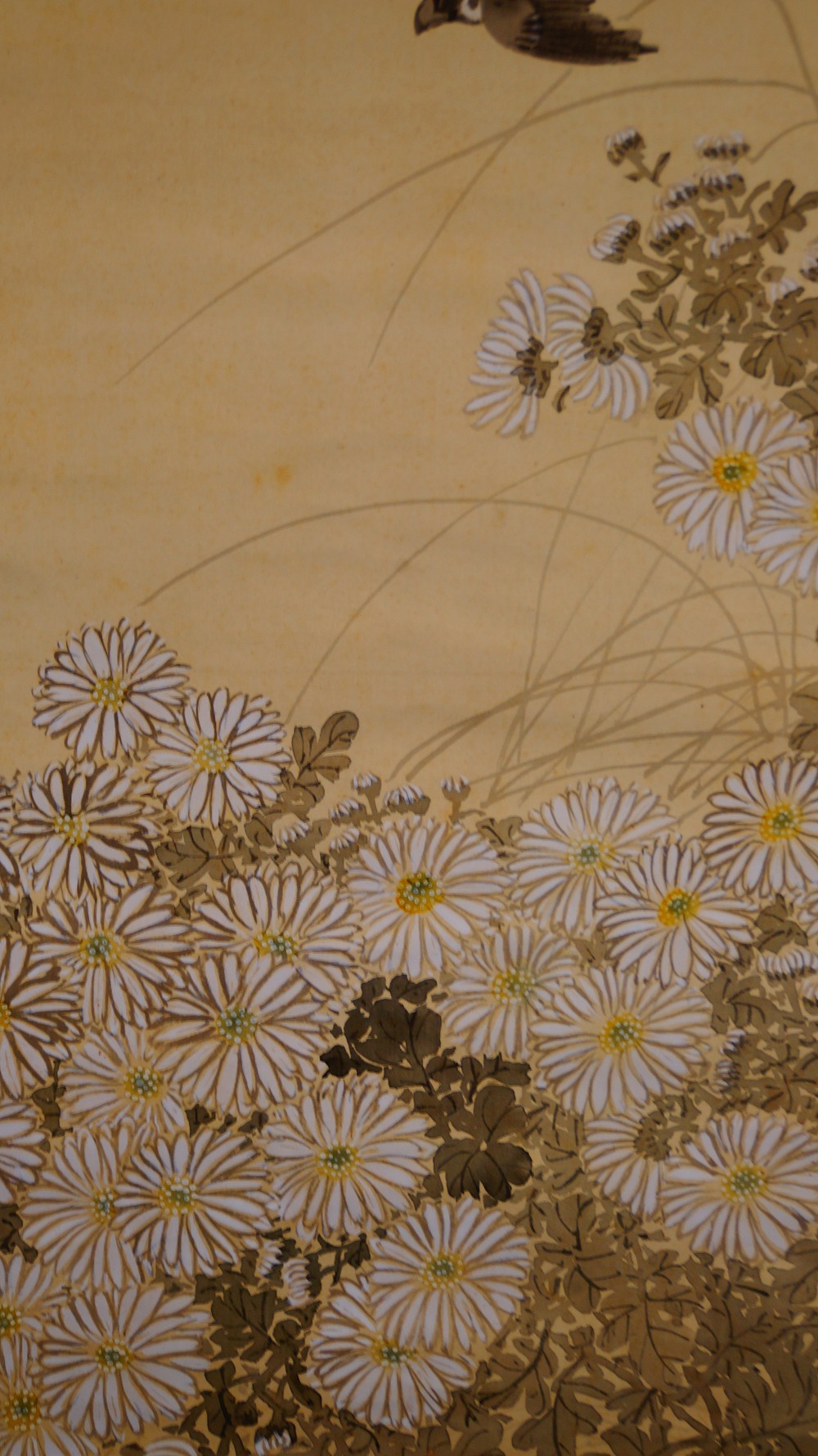 Sperlinge ueber Chrysanthemen Kakemono von Fukui Kotei Chrysanthemen-Motiv Nahaufnahme