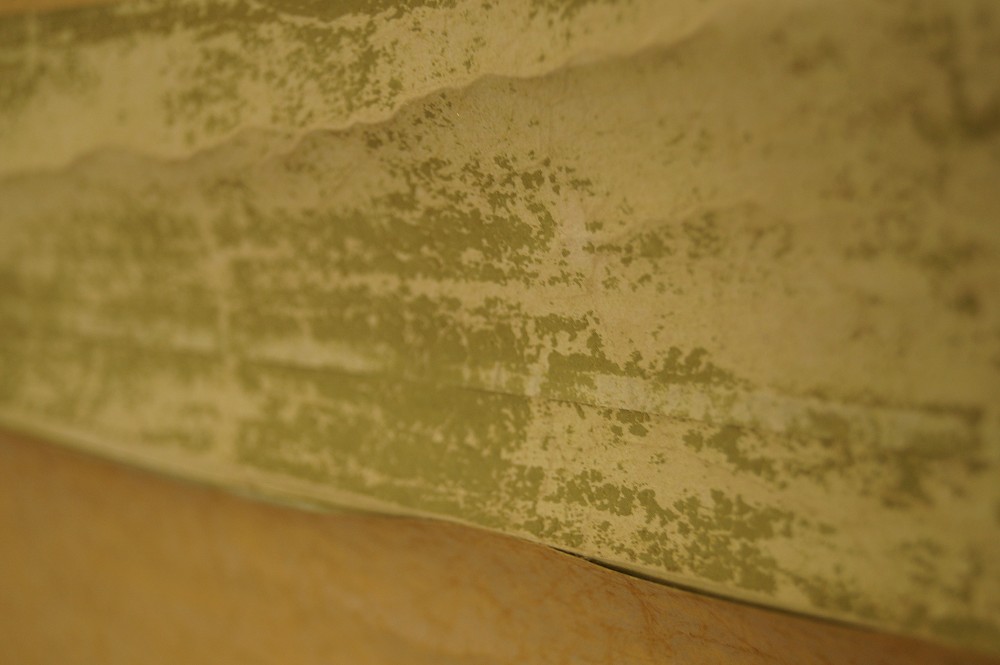 Alter Zen-Moench unter Kirschblueten Montierungsdetail 2