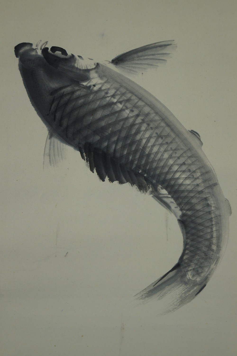 Kakemono Springender Koi Koi Motiv Nahaufnahme