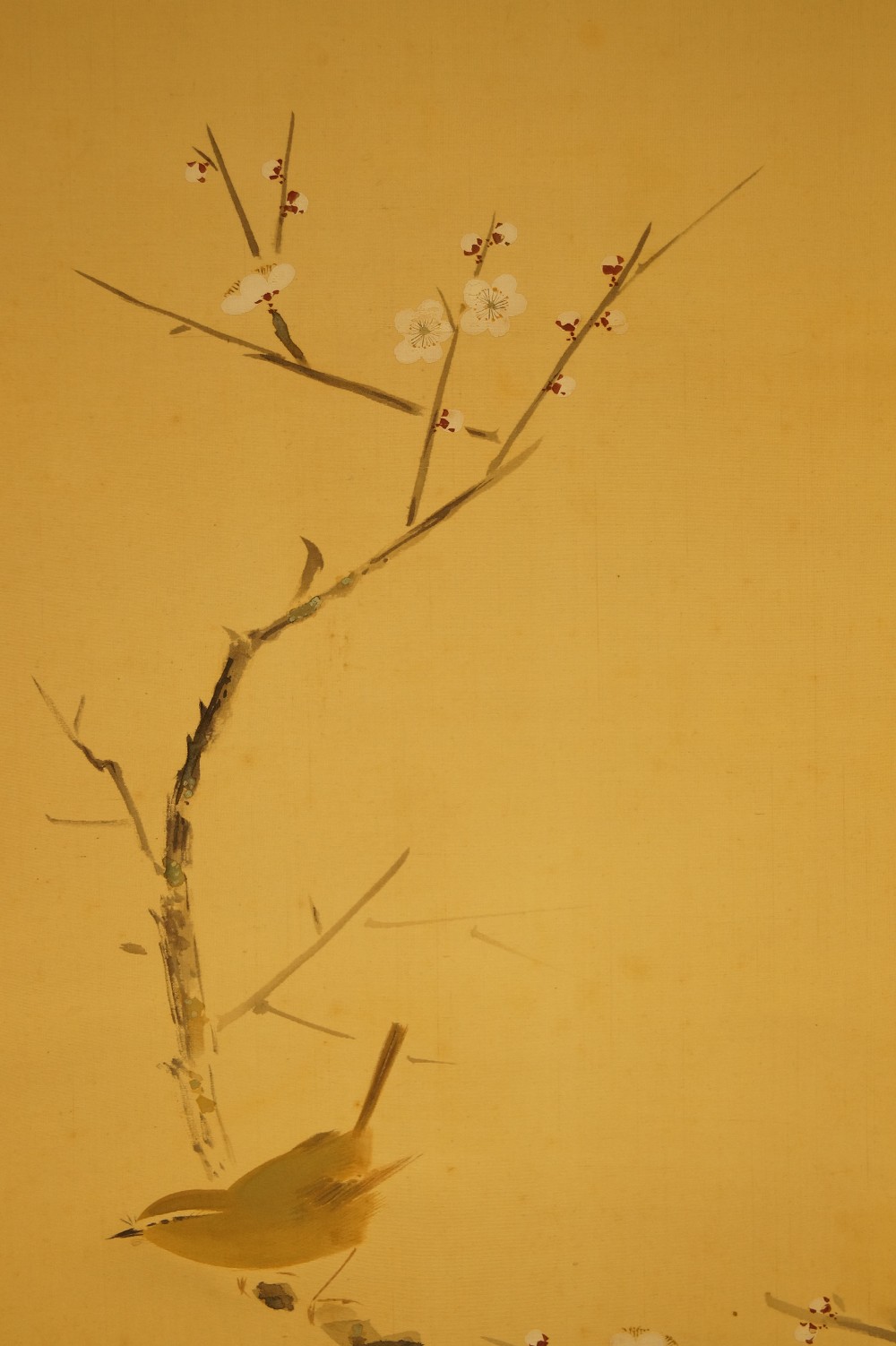 Vogel auf einem Kirschbaumzweig von Yasuyama Tachiwaki Vogel Nahaufnahme 1