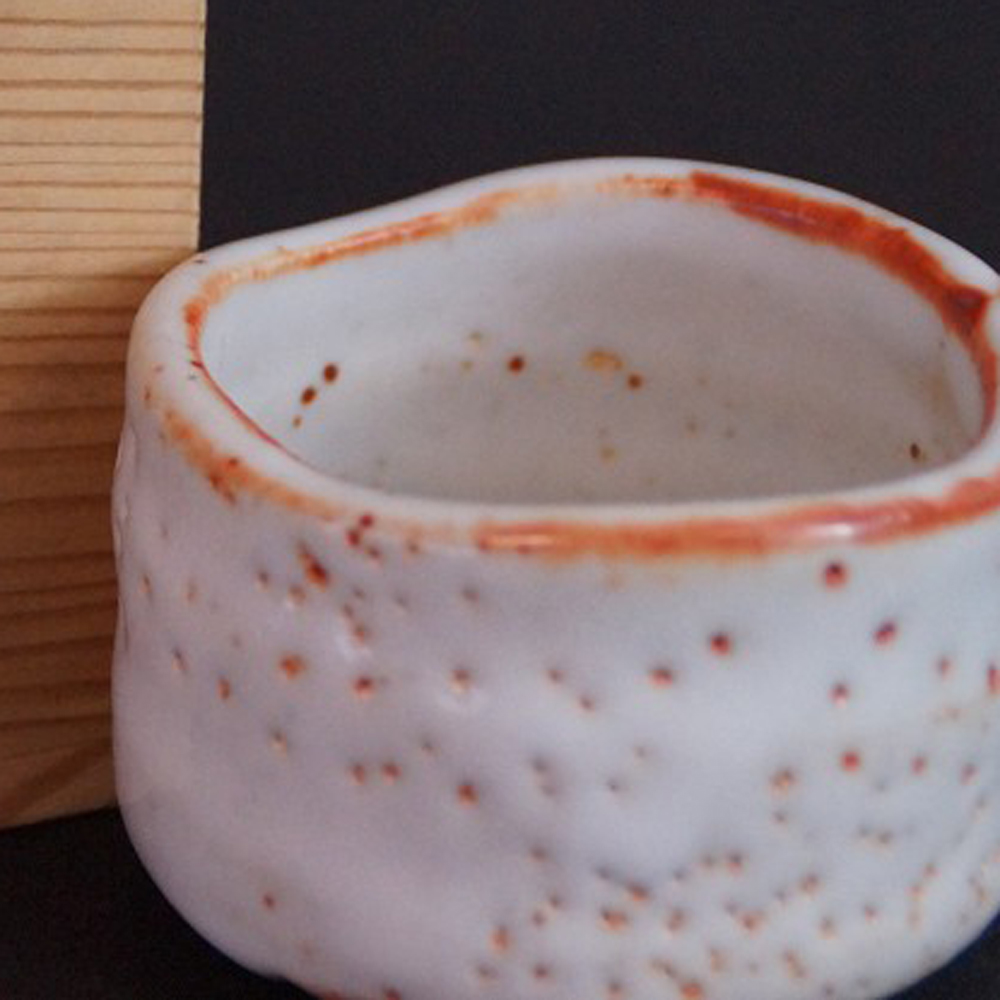 Coppa da sake Shino guinomi di Sato Yasumoto anteprima primo piano del motivo
