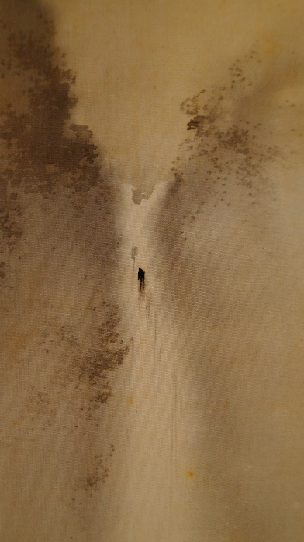 Fruehlingsdoerfchen im Nebel Kakemono Landschaft Nahaufnahme Wasserfall im Nebel 2